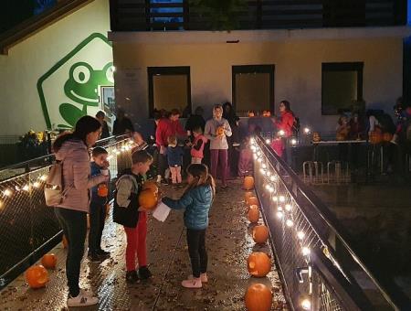 buče in žabja hiša